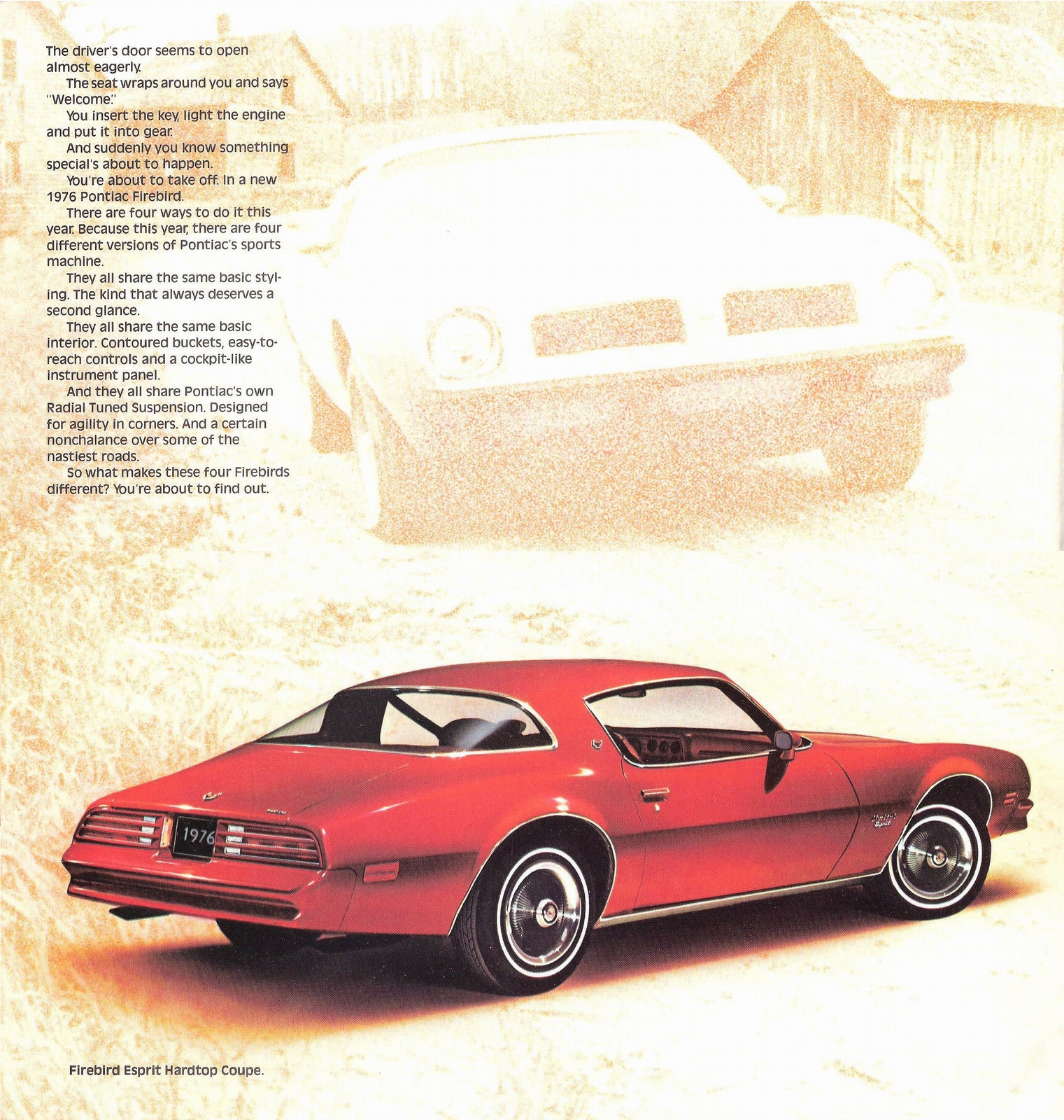 n_1976 Pontiac Firebird-02.jpg